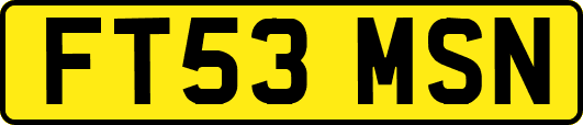 FT53MSN