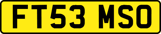 FT53MSO