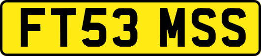 FT53MSS