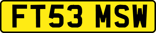 FT53MSW