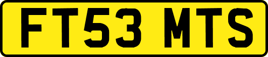 FT53MTS