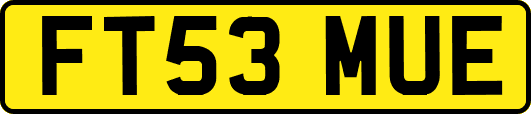 FT53MUE