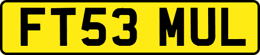 FT53MUL