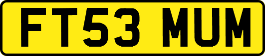 FT53MUM