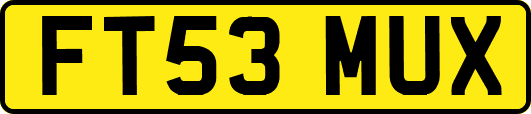 FT53MUX