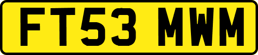 FT53MWM