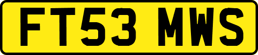 FT53MWS