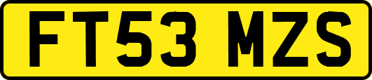 FT53MZS