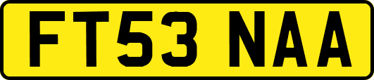 FT53NAA
