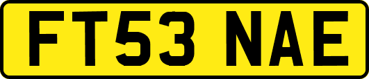 FT53NAE