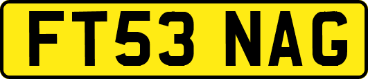 FT53NAG