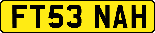 FT53NAH