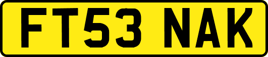 FT53NAK