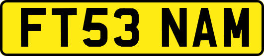 FT53NAM