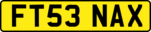 FT53NAX