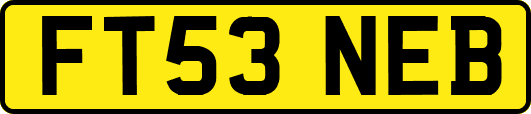 FT53NEB