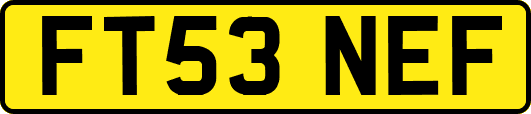 FT53NEF