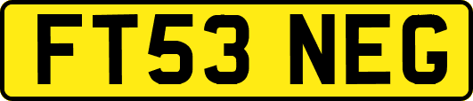 FT53NEG