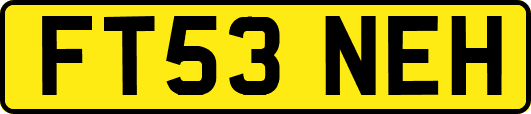 FT53NEH