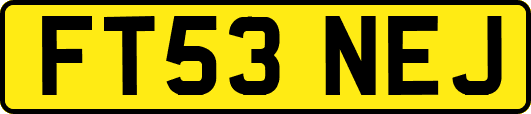 FT53NEJ
