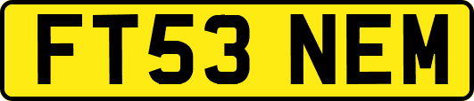 FT53NEM
