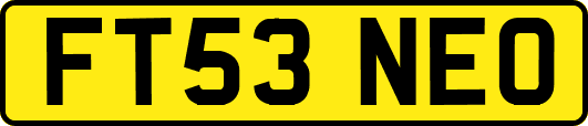 FT53NEO