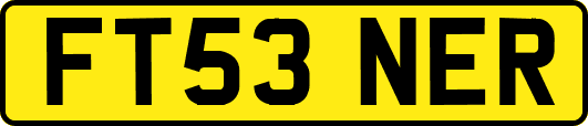 FT53NER