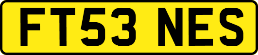 FT53NES