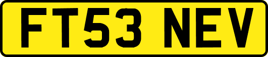 FT53NEV