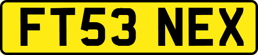 FT53NEX