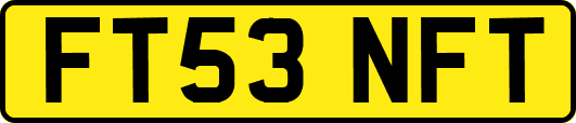 FT53NFT
