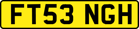 FT53NGH