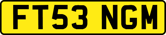 FT53NGM
