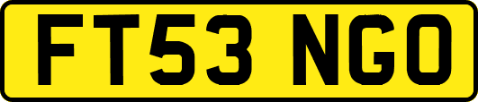 FT53NGO
