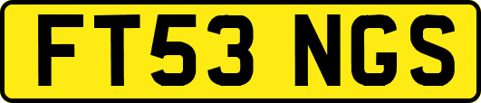 FT53NGS