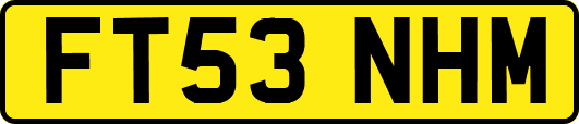 FT53NHM