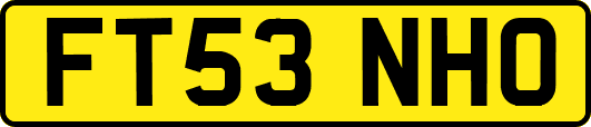 FT53NHO