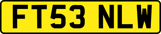 FT53NLW