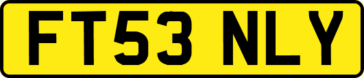 FT53NLY