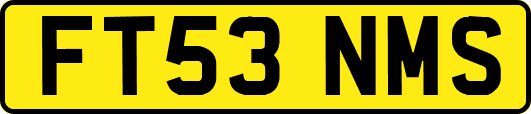 FT53NMS