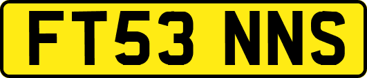 FT53NNS