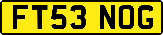 FT53NOG