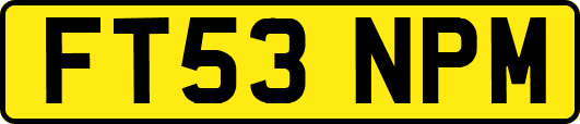 FT53NPM