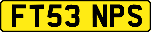 FT53NPS