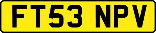 FT53NPV