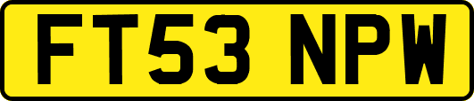 FT53NPW