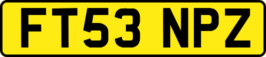 FT53NPZ