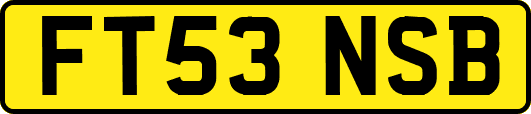 FT53NSB