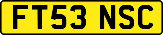 FT53NSC
