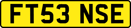 FT53NSE